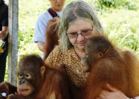 Įrašo "Gimusi tyrinėti oranžinius miško „žmones“ – orangutanus" reprezentacinis paveikslėlis