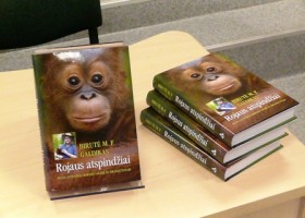 Įrašo "Gimusi tyrinėti oranžinius miško „žmones“ – orangutanus (2)" reprezentacinis paveikslėlis