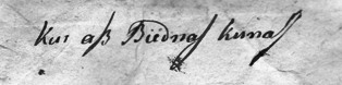 Atsidūsėjimas – lietuviška marginalija Motiejaus Kazimiero Sarbievijaus knygoje „Poemata“ (Vilnius, 1757); saugoma Lietuvos nacionalinėje Martyno Mažvydo bibliotekoje