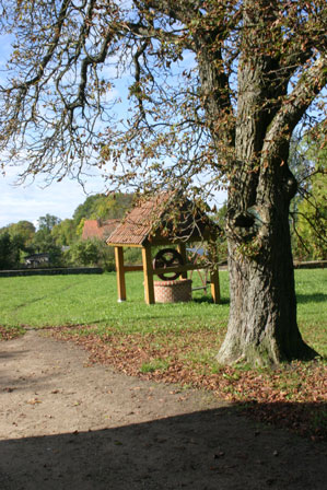 IMG_4392 IMG_4392