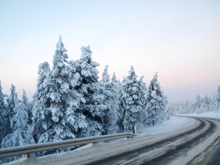 E.Stasiūnaitės nuotrauka „Žiemos kelias“