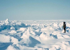 Įrašo "Mikropasaulio sąvokos padeda įvertinti jūros ledo storį" reprezentacinis paveikslėlis