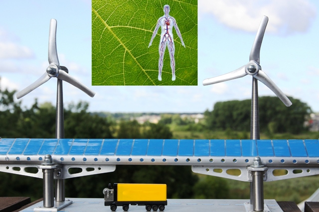 Energetinio kapiliaro pavyzdys gamtoje ir jų veikimo principo bei konstrukcijos perkėlimas į techninį lygį. Energetinio kapiliaro pavyzdys gamtoje ir jų veikimo principo bei konstrukcijos perkėlimas į techninį lygį.