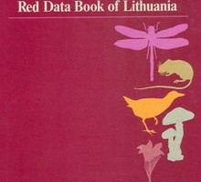 Įrašo "„Įrašykime visą Lietuvą į Raudonąją knygą“" reprezentacinis paveikslėlis