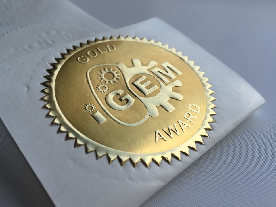 Konkurso „iGEM“ auksas – Vilniaus universiteto studentams Konkurso „iGEM“ auksas – Vilniaus universiteto studentams