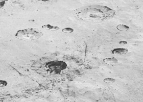 Įrašo "Plutonas iš arti" reprezentacinis paveikslėlis