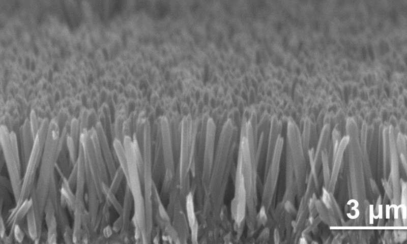 Paveikslėlyje: mažytės nanovielutės suformuoja tolygiai pasiskirsčiusį ir vienodo aukščio rinkinį. Paveikslėlyje: mažytės nanovielutės suformuoja tolygiai pasiskirsčiusį ir vienodo aukščio rinkinį.