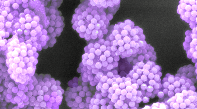 Paveikslėlyje: mažytės dalelės, paverstos statybiniais blokais, primenančiais LEGO kaladėles.