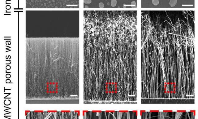Paveikslėlyje: tarpvamzdelinio atstumo keitimas derinantis prie viruso dydžio.