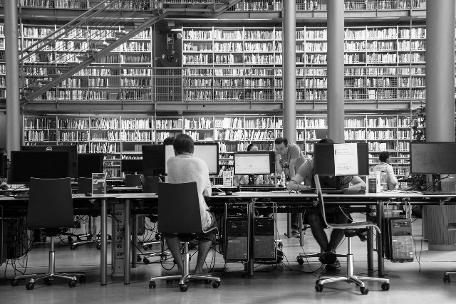 UniversitetasPixabaycomnuotr 1