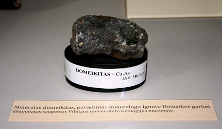Ignotas Domeika DomeikitasIMG 6462