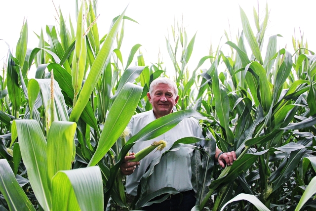 Vladas Kirkutis Vladas Kirkutis