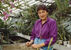 Įrašo "„Moterys moksle“: kokią evoliucijos mįslę padėjo įminti biologė Lynn Margulis?" reprezentacinis paveikslėlis
