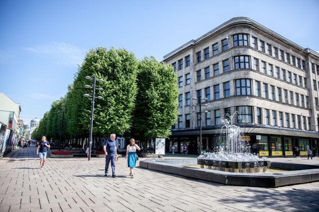 PienocentrormaiKauneKTUnuotr