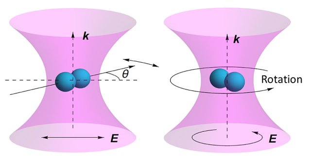 nanodalele rotorius nanodalele rotorius
