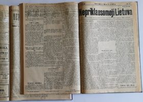 Įrašo "Laikraščiui „Nepriklausomoji Lietuva“ – 100 metų" reprezentacinis paveikslėlis