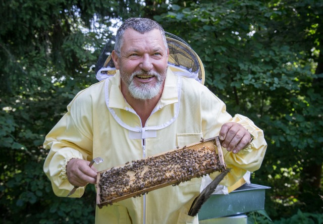 5 Bičių likimas VDU Algirdas Amšiejus 5 Bičių likimas VDU Algirdas Amšiejus