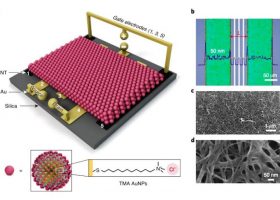 Įrašo "Sukurtas naujo tipo tranzistorius, kurio veikimas pagrįstas metalo nanodalelėmis ir jonų gradientais" reprezentacinis paveikslėlis