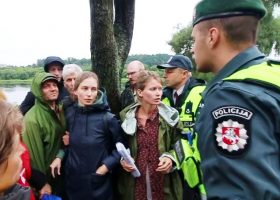 Įrašo "Dėl Kauno medžių" reprezentacinis paveikslėlis