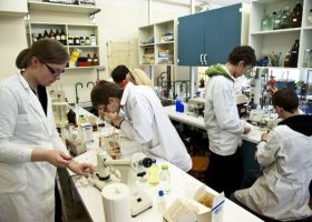Įrašo "Išbandyk prieš įsigydamas, arba kodėl studentų praktika yra geriausias būdas rasti talentų" reprezentacinis paveikslėlis Įrašo "Išbandyk prieš įsigydamas, arba kodėl studentų praktika yra geriausias būdas rasti talentų" reprezentacinis paveikslėlis