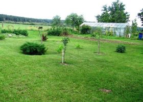 Įrašo "Gerovės valstybės piliečiai" reprezentacinis paveikslėlis Įrašo "Gerovės valstybės piliečiai" reprezentacinis paveikslėlis