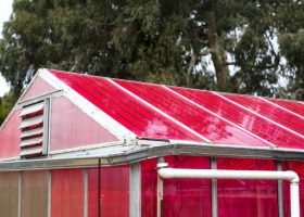 Įrašo "Šiltnamiai, vienu metu auginantys derlių ir generuojantys elektros energiją" reprezentacinis paveikslėlis Įrašo "Šiltnamiai, vienu metu auginantys derlių ir generuojantys elektros energiją" reprezentacinis paveikslėlis