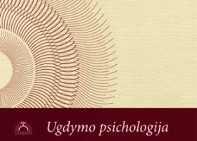 Įrašo "Mokslininkų tyrimų rezultatai atskleidžia rimtą problemą – pedagogai perdegia savo darbe" reprezentacinis paveikslėlis Įrašo "Mokslininkų tyrimų rezultatai atskleidžia rimtą problemą – pedagogai perdegia savo darbe" reprezentacinis paveikslėlis