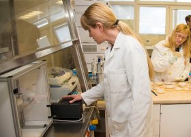 Įrašo "Biotechnologijų revoliucija Lietuvoje: didesnis derlius ir atsparumas kenkėjams" reprezentacinis paveikslėlis Įrašo "Biotechnologijų revoliucija Lietuvoje: didesnis derlius ir atsparumas kenkėjams" reprezentacinis paveikslėlis