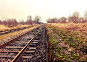 Įrašo "Vėžį sukeliančių medžiagų nukenksminimas" reprezentacinis paveikslėlis Įrašo "Vėžį sukeliančių medžiagų nukenksminimas" reprezentacinis paveikslėlis