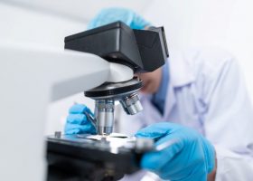 Įrašo "VDU inicijuoja projektus – nuo biotechnologijų iki kultūros sektoriaus inovacijų" reprezentacinis paveikslėlis