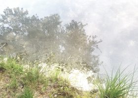 Įrašo "Prof. dr. Birutė Mockevičienė: Pelkių tylėjime – karių gyvybės, valstybės orumas ir mokslas veiksme" reprezentacinis paveikslėlis Įrašo "Prof. dr. Birutė Mockevičienė: Pelkių tylėjime – karių gyvybės, valstybės orumas ir mokslas veiksme" reprezentacinis paveikslėlis