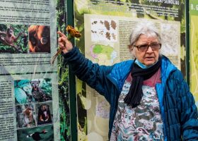 Įrašo "Seimo Pirmininkas reiškia užuojautą dėl mokslininkės Birutės Galdikas mirties" reprezentacinis paveikslėlis