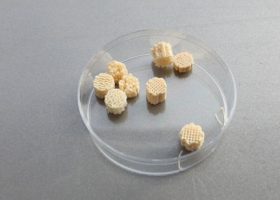 Įrašo "Tyrimai proveržio srityje: LSMU specialistai kuria 3D tabletes" reprezentacinis paveikslėlis Įrašo "Tyrimai proveržio srityje: LSMU specialistai kuria 3D tabletes" reprezentacinis paveikslėlis