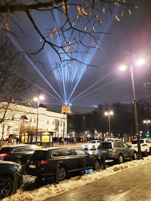 Gedimino pilis1