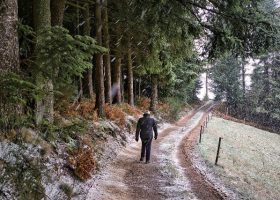 Įrašo "Lietuvos miškų ir jų kelių būklė" reprezentacinis paveikslėlis Įrašo "Lietuvos miškų ir jų kelių būklė" reprezentacinis paveikslėlis
