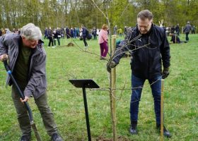 Įrašo "Žemės ūkio akademijos 100-metį įprasmino ąžuolynas" reprezentacinis paveikslėlis