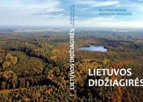 Įrašo "„Lietuvos didžiagirės“ – žmogaus ir miško bendrystės istorijos studija" reprezentacinis paveikslėlis Įrašo "„Lietuvos didžiagirės“ – žmogaus ir miško bendrystės istorijos studija" reprezentacinis paveikslėlis