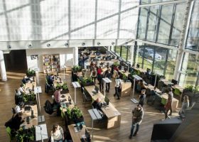 Įrašo "VDU erdvėse pirmą kartą Lietuvoje vyks Europos aukštojo mokslo kokybės užtikrinimo forumas" reprezentacinis paveikslėlis Įrašo "VDU erdvėse pirmą kartą Lietuvoje vyks Europos aukštojo mokslo kokybės užtikrinimo forumas" reprezentacinis paveikslėlis