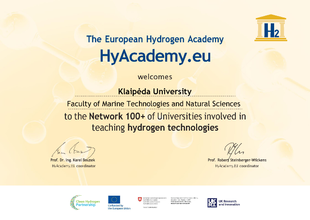 original HyAcademy certificate 019