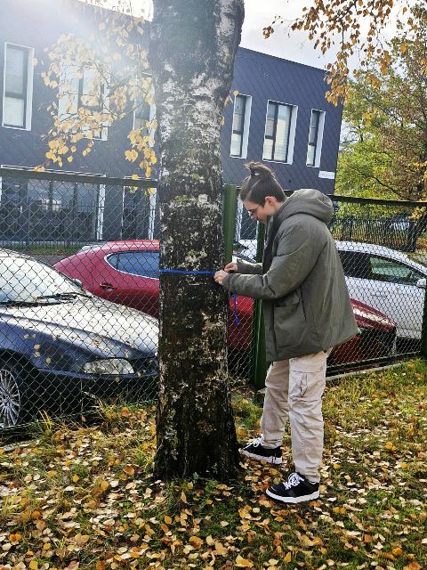 original Mokiniaiatliekamedikamienskersmensmatavimus