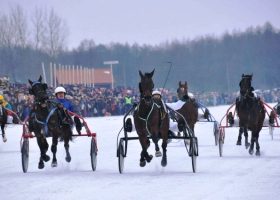 Įrašo "Kai tempą diktuoja žirgai, ryšys turi suspėti: „Sartų“ lenktynėse – naujos kartos technologija" reprezentacinis paveikslėlis