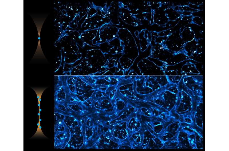 mit researchers find s 1 mit researchers find s 1