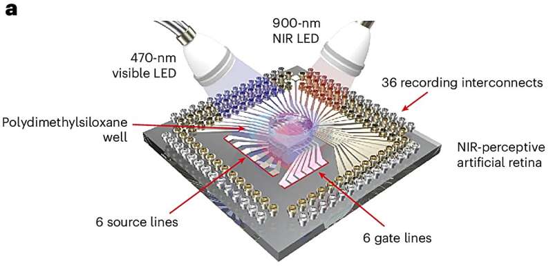 this artificial retina 1