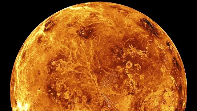 venera1 venera1