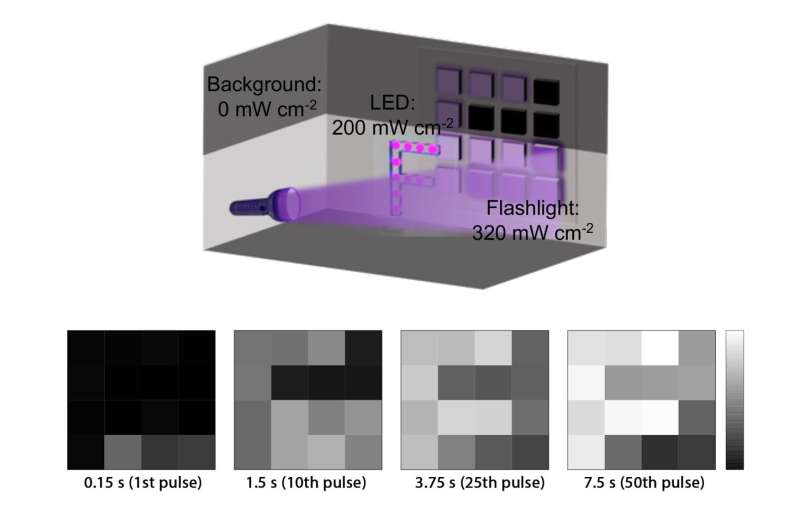 artificial eyes could 1 artificial eyes could 1