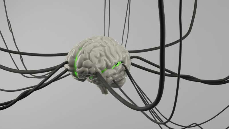 neuronas