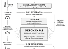 Įrašo "Nuo finansinių rodiklių prie prisotinimo: ar galima anksčiau pastebėti krizes?" reprezentacinis paveikslėlis Įrašo "Nuo finansinių rodiklių prie prisotinimo: ar galima anksčiau pastebėti krizes?" reprezentacinis paveikslėlis